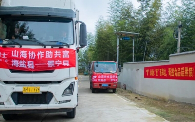 懷抱熱愛、奔赴山海~ 膳博士黑豬“遠嫁”景寧鄭坑助共富！